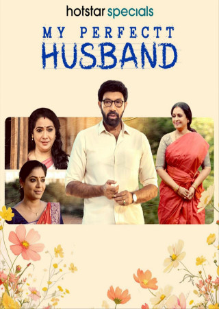 My Perfectt Husband (2024) Season 1 Hindi or Tamil Complete Web Series