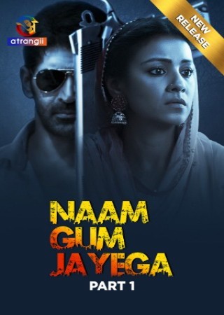 Naam Gum Jayega (2024) Hindi Season 01 Part 1 Atrangii Web Series