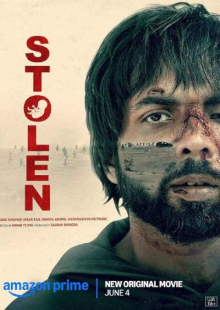 Stolen (2025) Hindi 