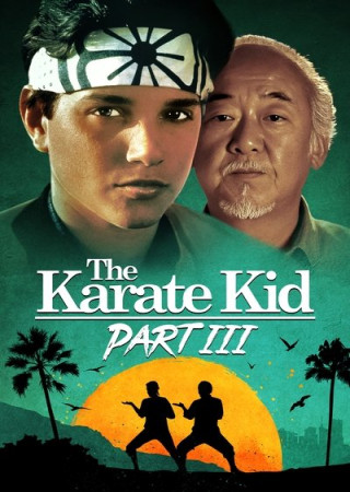 The Karate Kid Part III (1989) Hindi Dubbed