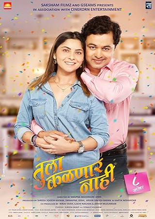 Tula Kalnnaar Nahi (2017) Marathi 