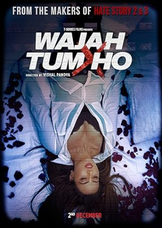 Wajah Tum Ho (2016) Hindi