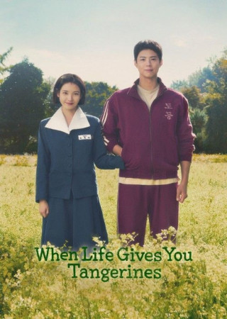 When Life Gives You Tangerines (2025) Season 01 Episode (09-12 Added) Hindi Dubbed Series